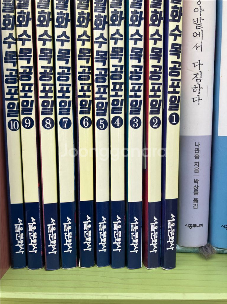 (서울문화사)신비아파트 월화수목공포일(택포)--2