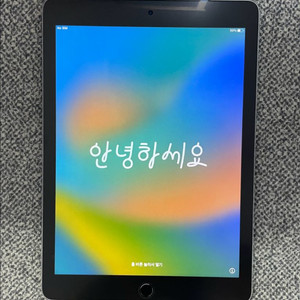 아이패드 프로 9.7 128GB