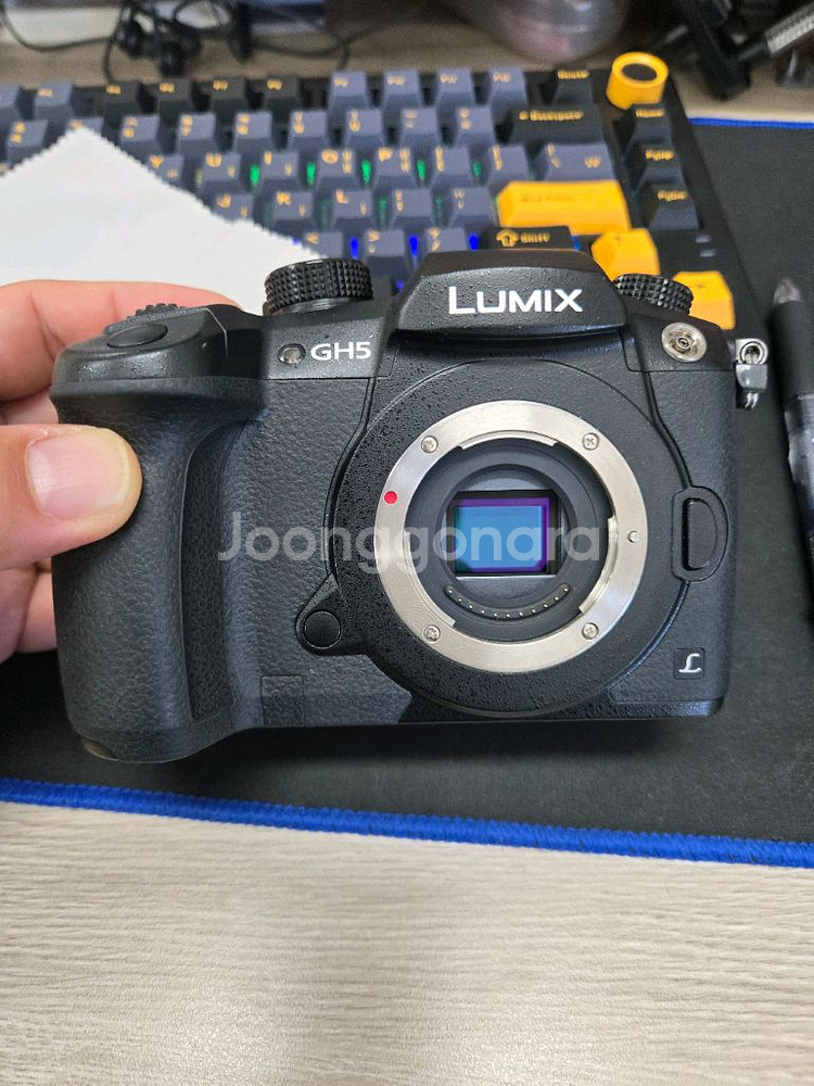 파나소닉 루믹스 GH5 + V-LOG KEY--0