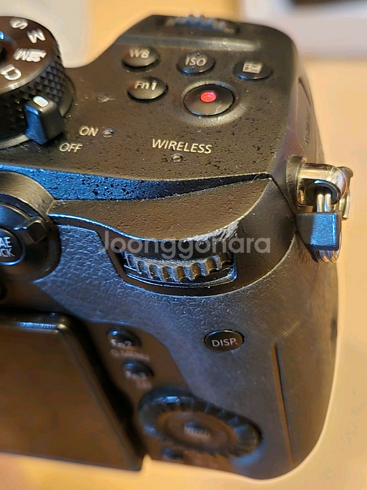 파나소닉 루믹스 GH5 + V-LOG KEY--8