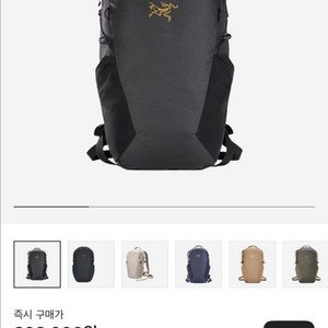 아크테릭스 멘티스 16