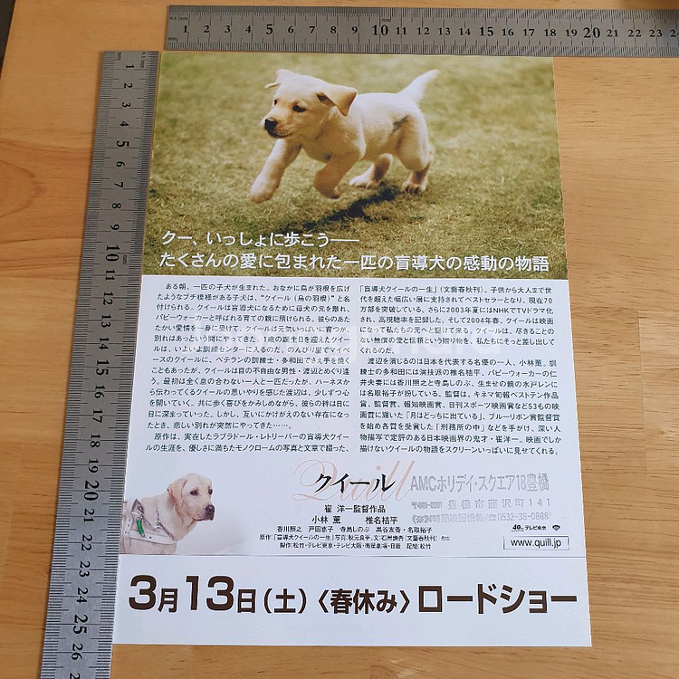 영화 퀼 Quill 일본영화전단지 시각장애인안내견영화--2