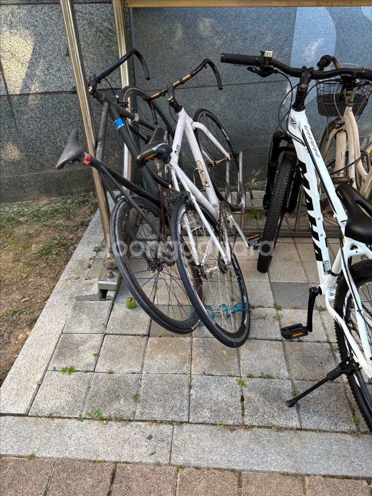 픽시 로드 자전거--0