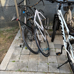 픽시 로드 자전거