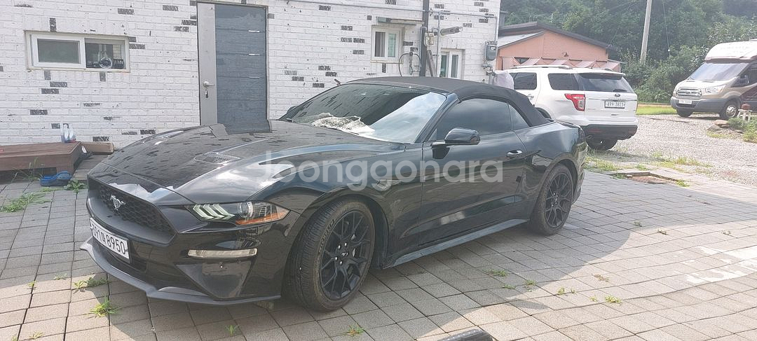 포드 머스탱 컨버터블 블랙--1