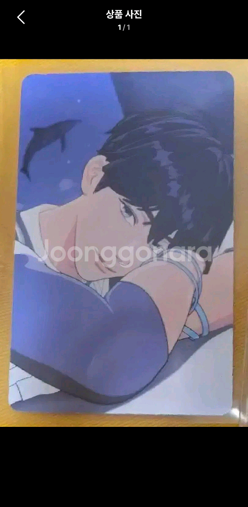 플레이브 팬클럽 1기 예준 포카--0