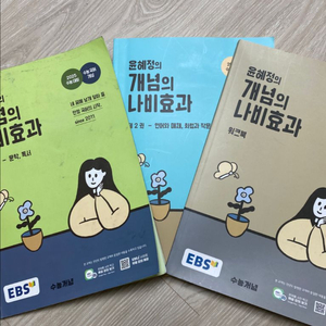 윤혜정 나비효과