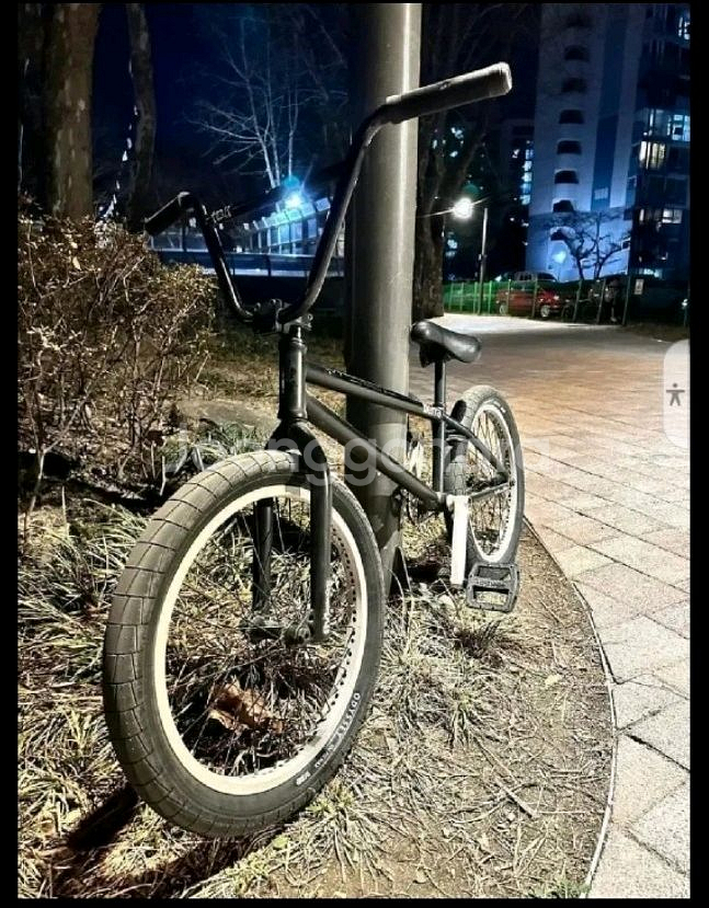 플라이바이크 커스텀 BMX--0