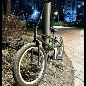 플라이바이크 커스텀 BMX