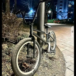 플라이바이크 커스텀 BMX
