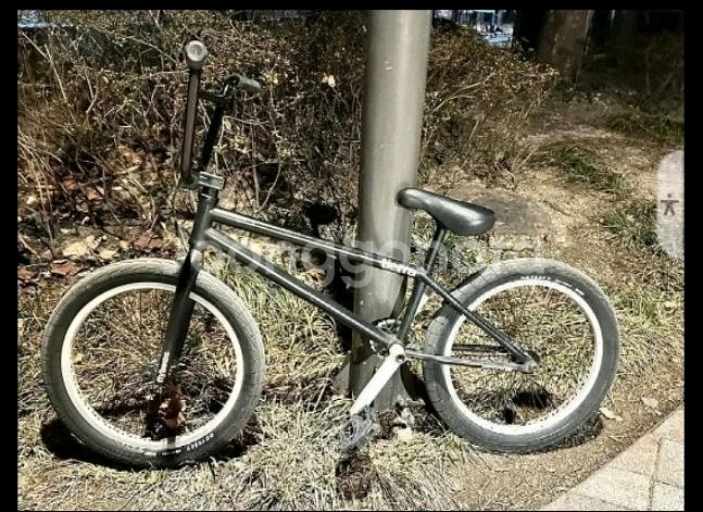 플라이바이크 커스텀 BMX--1