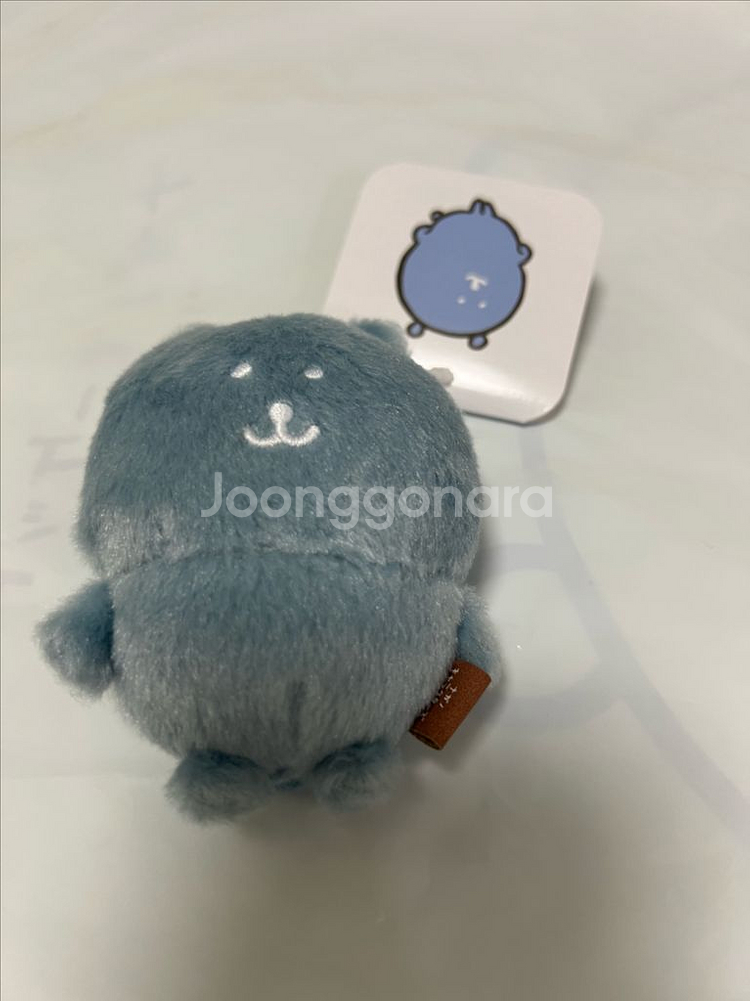 한국한정 블루그레이 농담곰--0