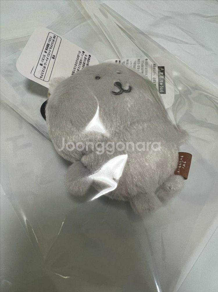 한국한정 쿨그레이 농담곰인형 팔아요--3