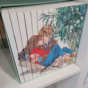 원수연 풀하우스