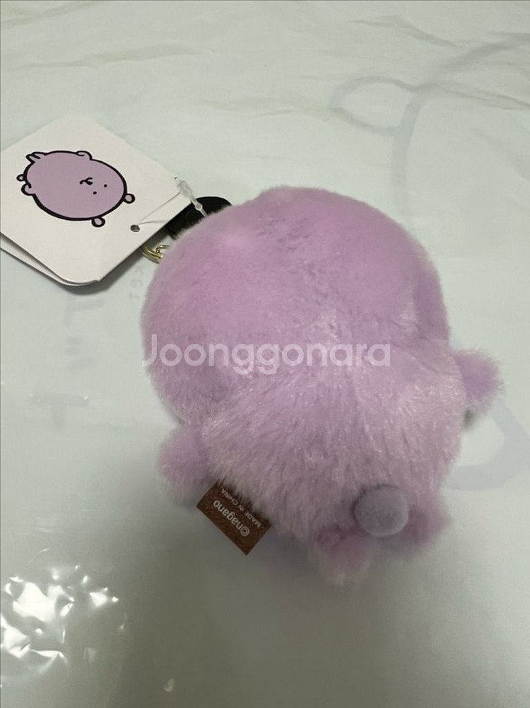 연보라 (라이트 퍼플) 농담곰 인형 (성수팝업)--3