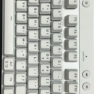 로지텍 g pro x tkl 래피드트리거