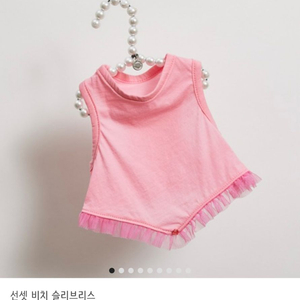루이독 라지