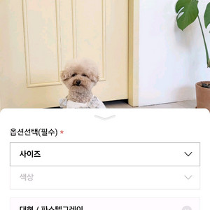실리콘연구소 실리킹 배변매트 Large 사이즈 (미사용