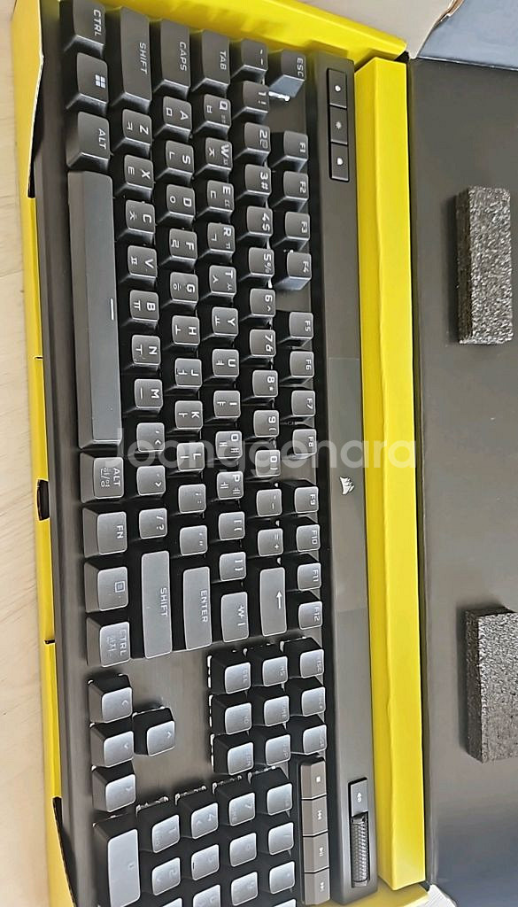 커세어 k70 rgb pro opx(광축)--1