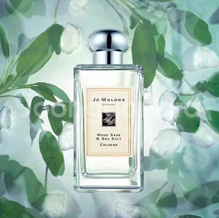 조말론 우드 세이지 엔 시솔트 EDC 100Ml--4