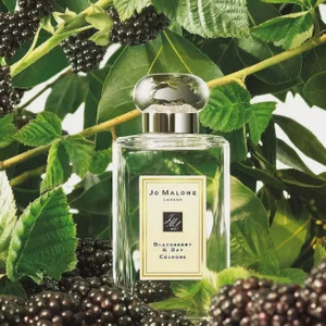 조말론 블랙베리 엔베이 코롱 100미리 인생첫향수라면