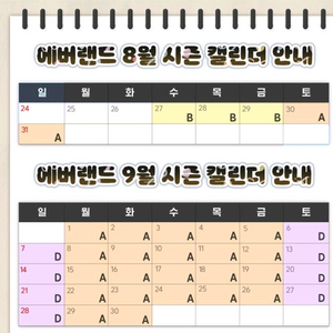 에버랜드 종일권