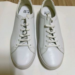 P-31 280사이즈