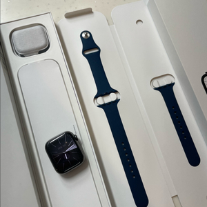 애플워치7스테인리스 41mm SS급