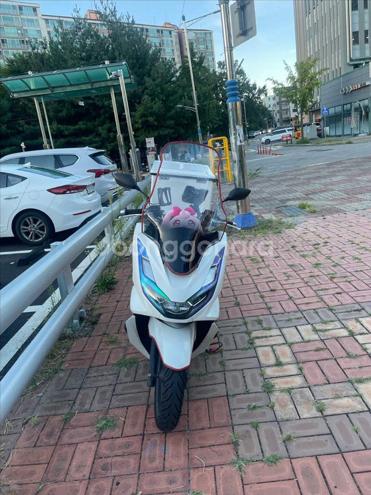 22년식 혼다 PCX 스쿠터--0
