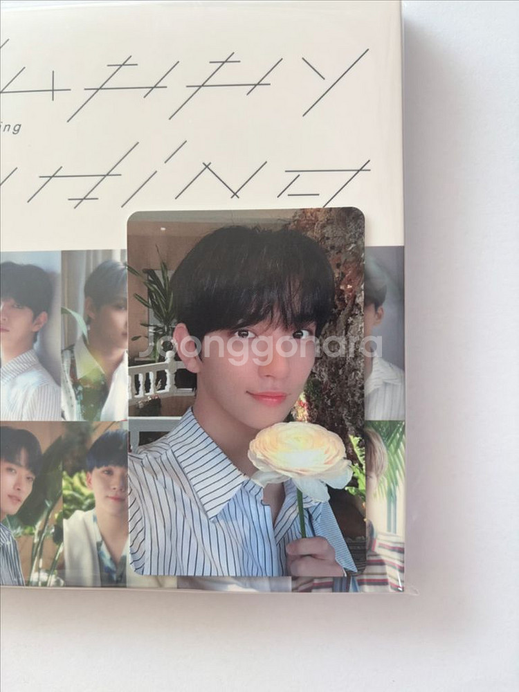 세븐틴 해피엔딩 일본 앨범 조슈아 슈아 포카 양도--0