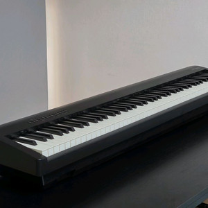 롤랜드 FP-30X, BNC-11