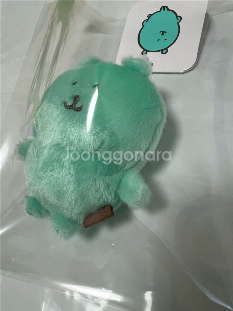 민트색 농담곰 (성수팝업)--4