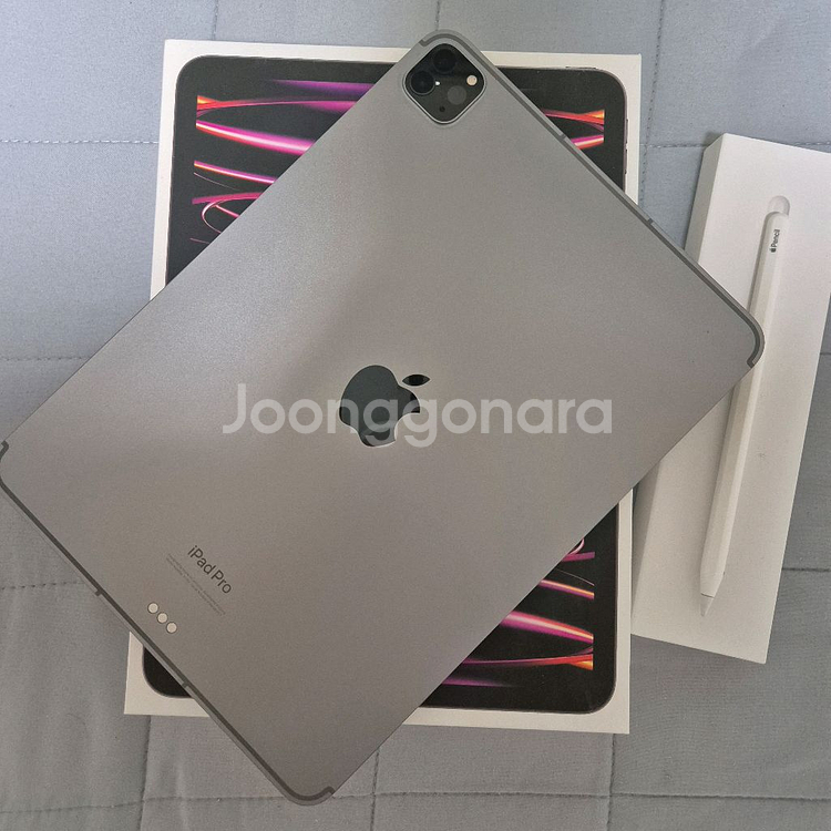 iPad Pro 11인치 4세대 (m2) 셀룰러 256--1