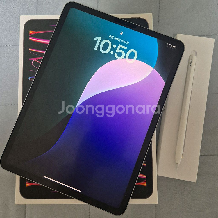 iPad Pro 11인치 4세대 (m2) 셀룰러 256--0