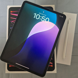 iPad Pro 11인치 4세대 (m2) 셀룰러 256