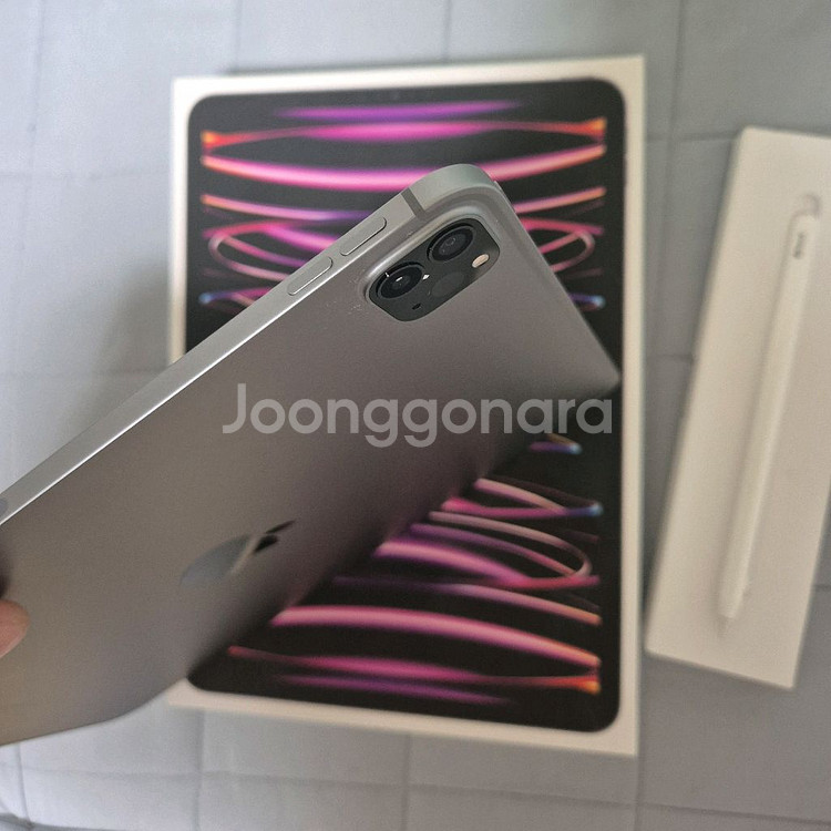 iPad Pro 11인치 4세대 (m2) 셀룰러 256--6