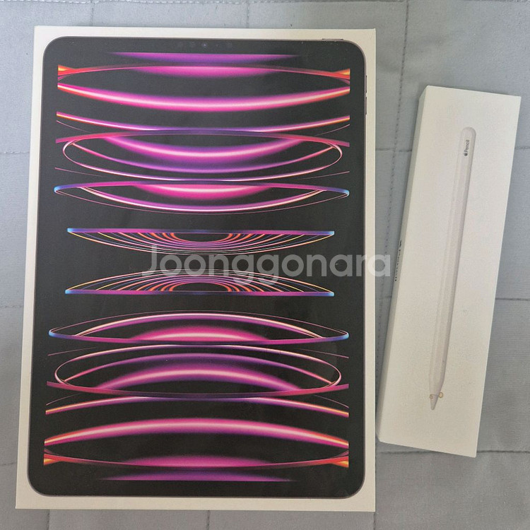 iPad Pro 11인치 4세대 (m2) 셀룰러 256--2
