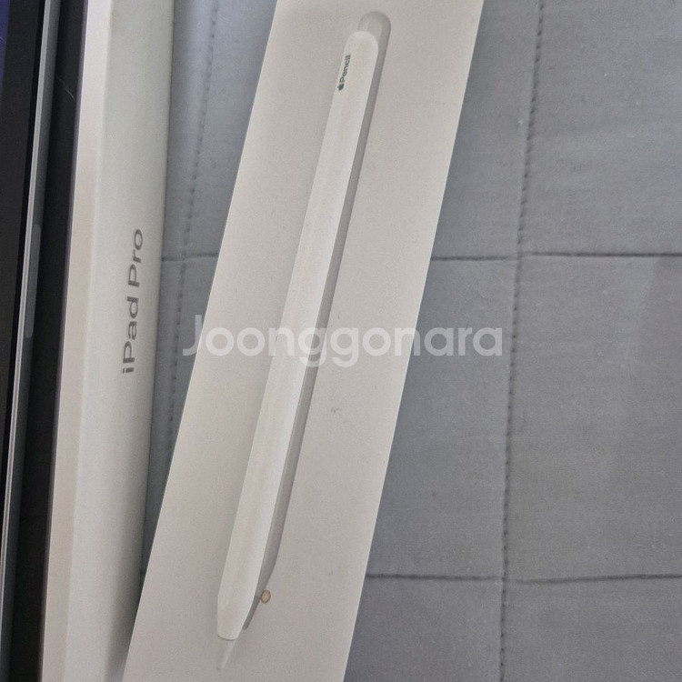 iPad Pro 11인치 4세대 (m2) 셀룰러 256--8