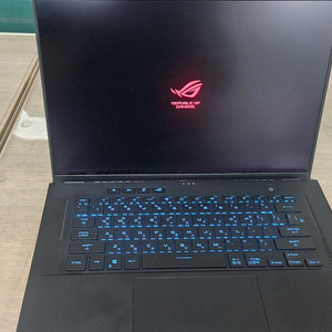 ASUS 게이밍 i9-11900H /32GB /3060