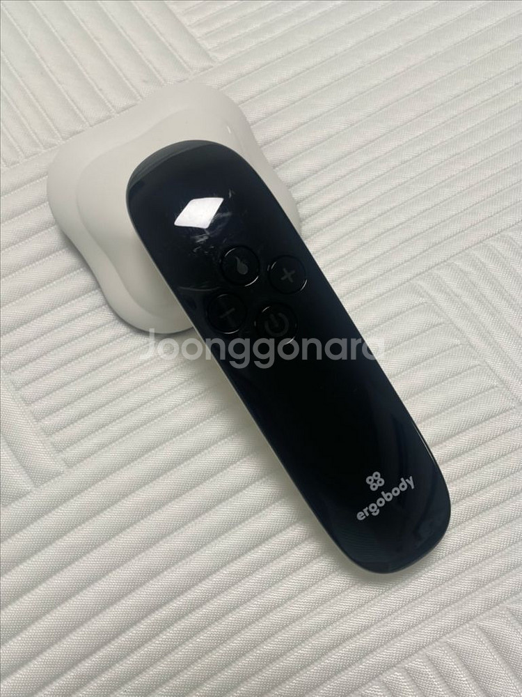 에르고바디 부스터 마사지기--0