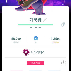포켓몬고 자흑배경 거다이맥스 이로치 거북왕 판매