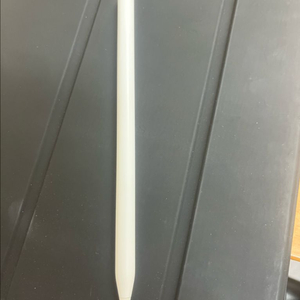 애플펜슬 프로