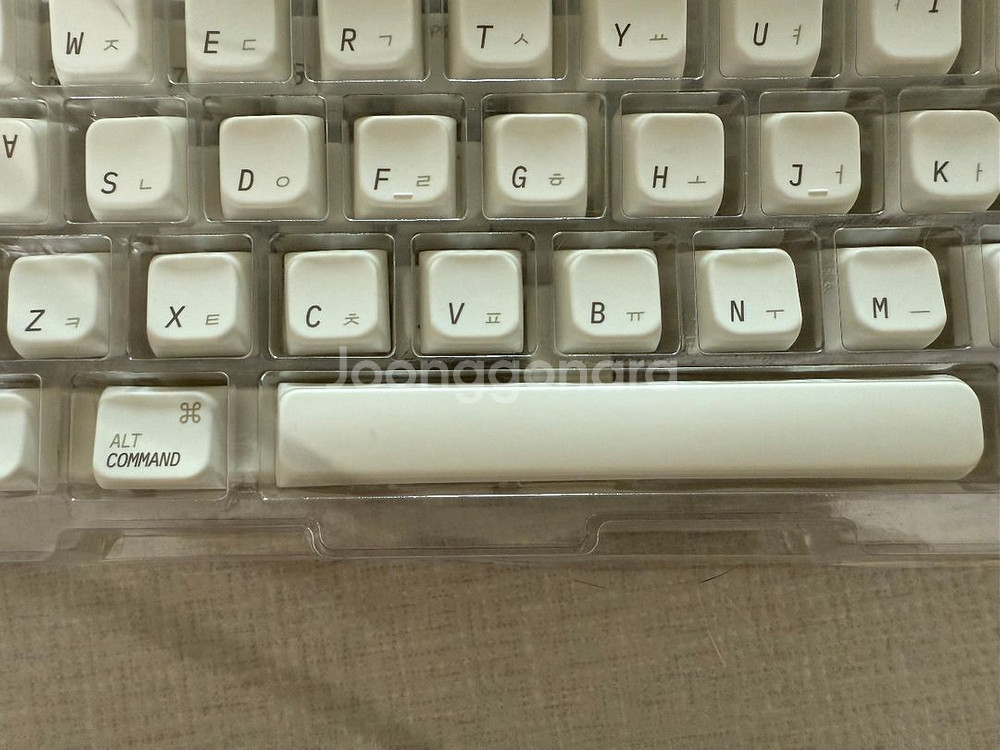 그루브스톤 애플라떼 키캡 택포--3