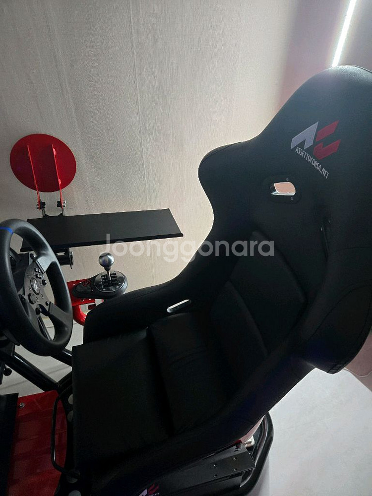트러스트마스터 T300, 49인치 모니터, 알시트rs1--2
