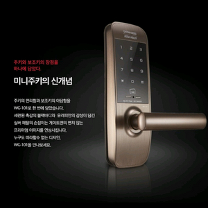 미개봉 새상품 정품 게이트맨 스마트 도어락 WG-101
