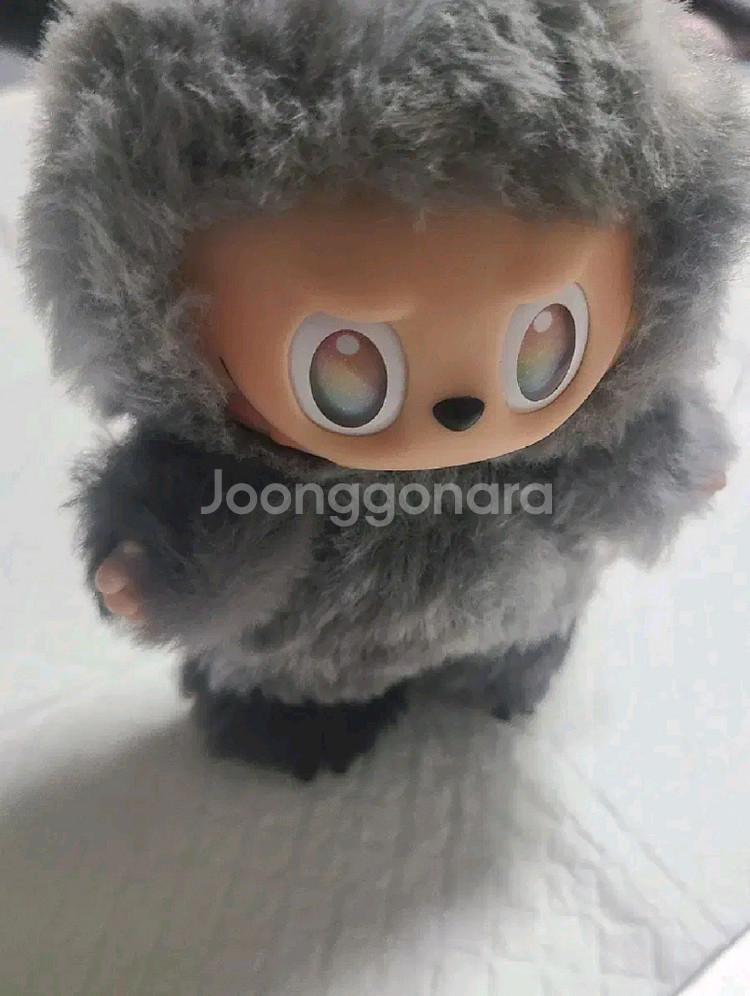 [정품] 라부부 하이라이트 자아 ID--0