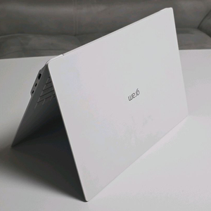 LG 그램 프로 17인치 화이트 외장그래픽 (최고사양)