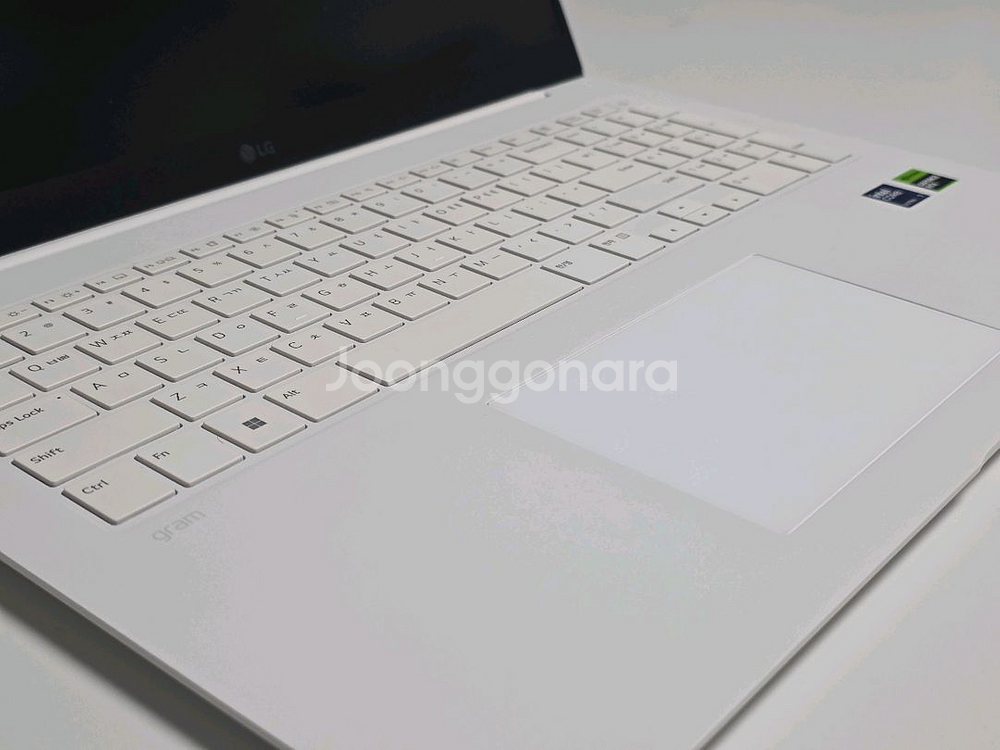 LG 그램 프로 17인치 화이트 외장그래픽 (최고사양)--12
