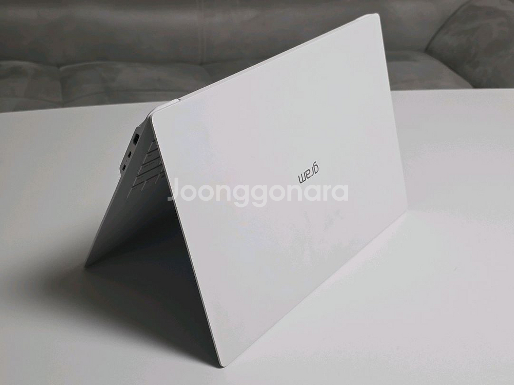 LG 그램 프로 17인치 화이트 외장그래픽 (최고사양)--15