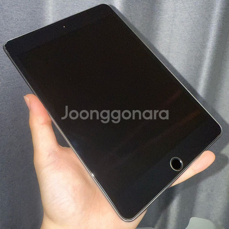 아이패드 미니5 wifi 64g (80%) 외관 S급--9
